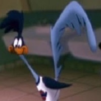 roadrunner.jpg