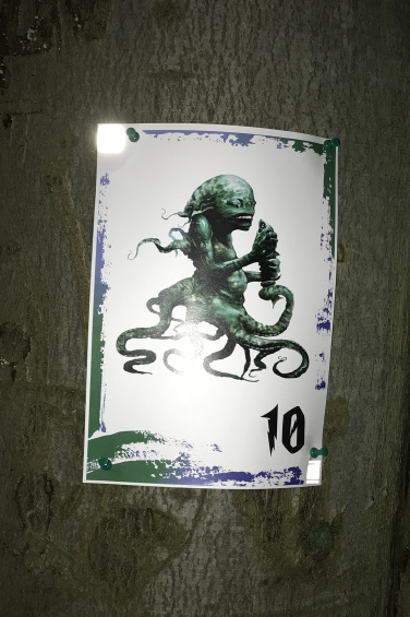 A creature card in the Forbidden Forest
