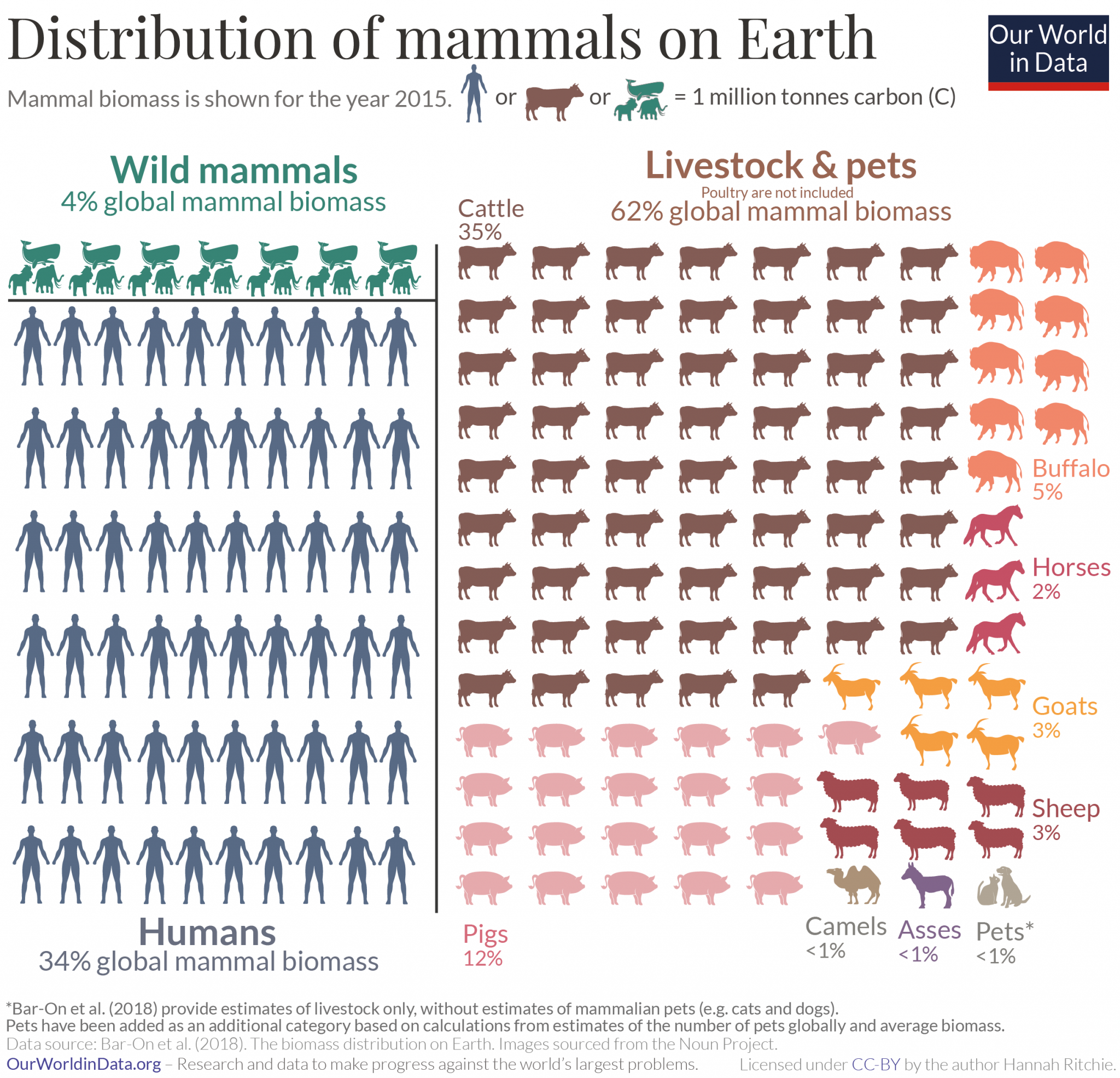 Distribution of mammals on Earth