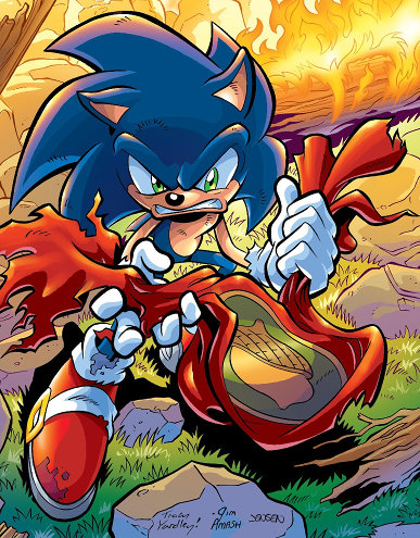 Sonic the Hedgehog #176 cover showing Sonic holding the torn flag of the Kingdom of Acorn