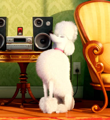 A white poodle sits in front of a living room stereo.
