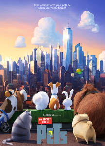 A group of pets stare at a cityscape.