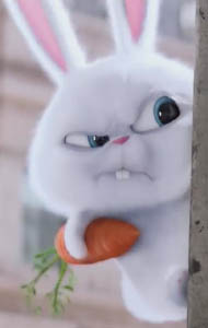 A very angry white bunny rabbit