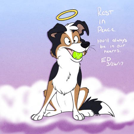 RIP Takaza, a memorial drawing by EdTheBorderCollie.