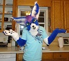 Cloudfox's picture