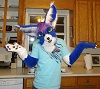 Cloudfox's picture