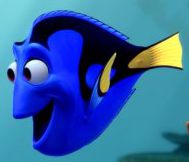 Dory