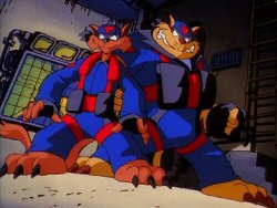 Swat Kats