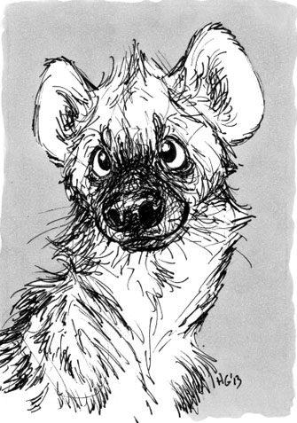 A hyena by Henrieke.