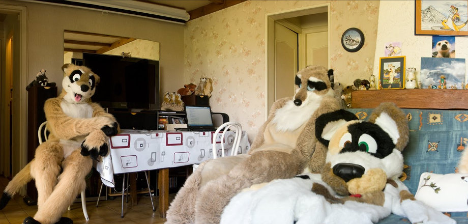 Photographer Carmen Dobre Seeks Insights Into Furries Via 360° Home Panoramas Flayrah