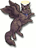 Furcadia's AngelCat avatar