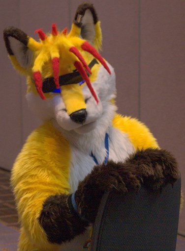 FirestormSix-built fursuit with a good hair day