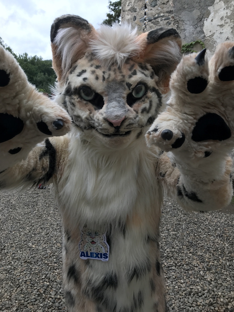 Alexis the snow-leopard at Furrstein 2022