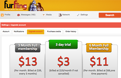FurFling account options
