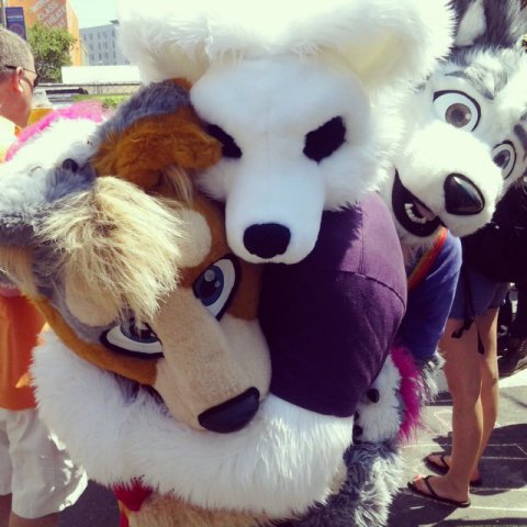 Furries at San Francisco Pride 2013 | flayrah - 480 x 480 jpeg 47kB