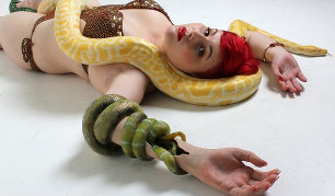 Prosthetic snake arm