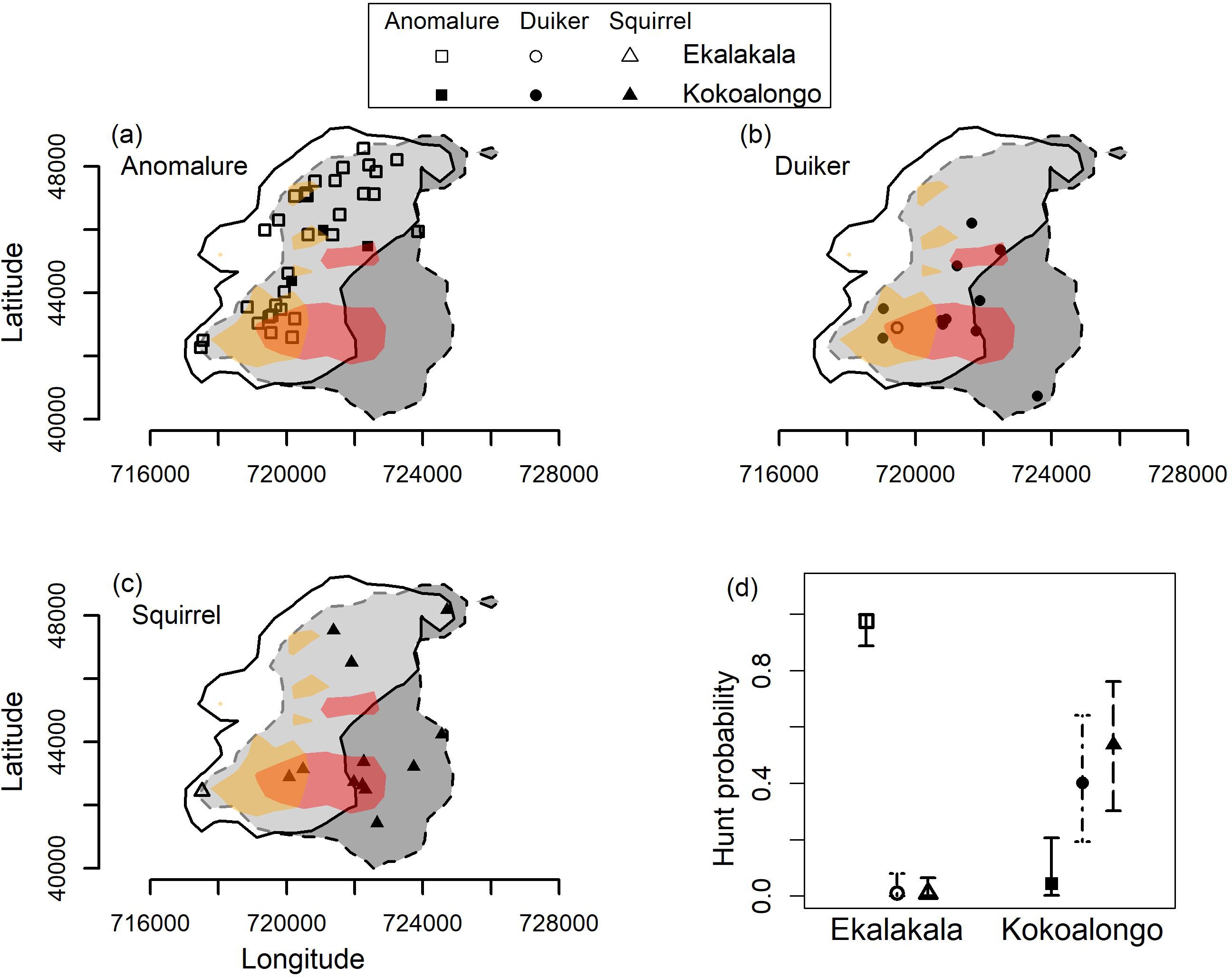 A map of the overlap between the two bonobo groups and their hunting activities. In each map, the Ekalakala group spends 95% of their time within the solid lines and 50% of their time within the yellow regions while the Kokoalongo group spends 95% of their time within the dotted lines and 50% of their time within the red regions. The figure shows the locations of successful hunts of the different prey (panels A-C) and the probability of each group hunting specific prey (panel D).