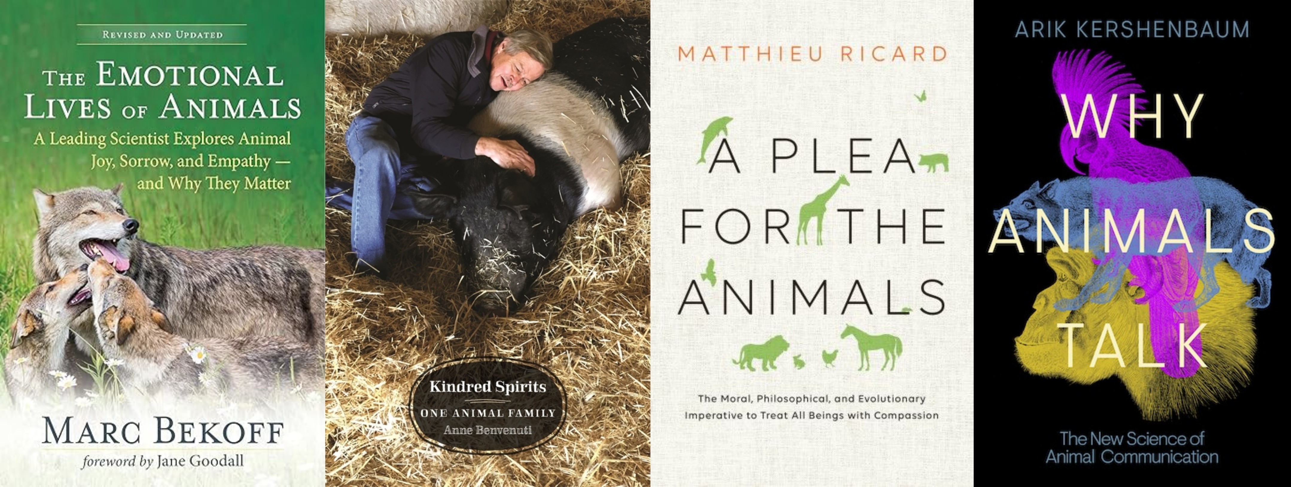 Recommended book covers.