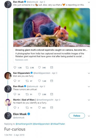 Elon Musk Furcurious.jpg
