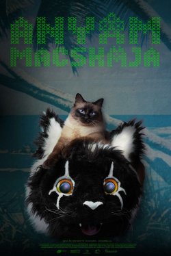 Moms Cat.jpg