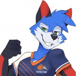 SonicFox_0.jpg