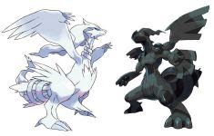 pokemon-black-and-white-legendaries_0.jpg