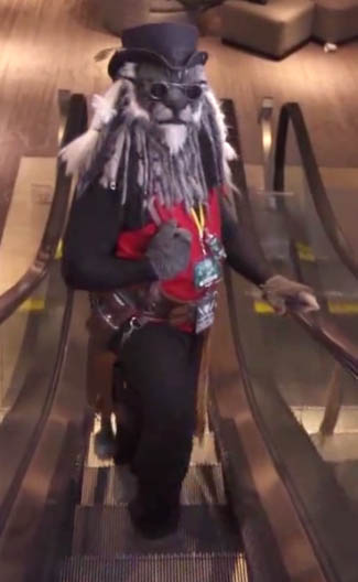Captain Boones, riding an escalator.