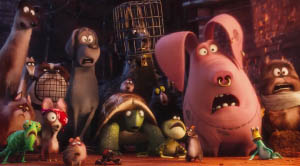 Some of the animals in the Flushed Pets gang stare in surprise